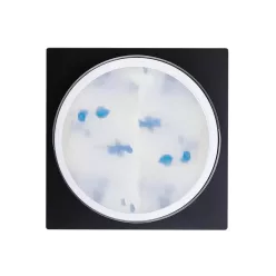 Perfect Nails Flower Gel - Blue - 5g PNZ370