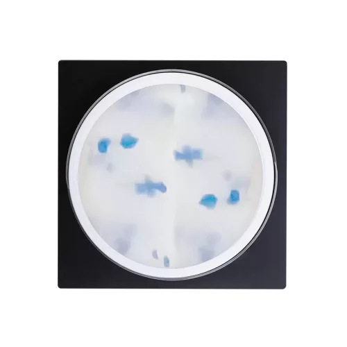 Perfect Nails Flower Gel - Blue - 5g PNZ370