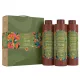 Brazilian Secrets Hair Forca da Floresta - Vegán Proteines Hajegyenesítő Csomag 3x1000ml BS097