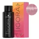 Igora Vibrance tartós hajszínező 60ml 10-19