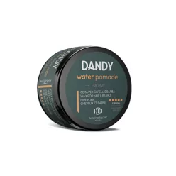 Dandy Water Pomade 100ml