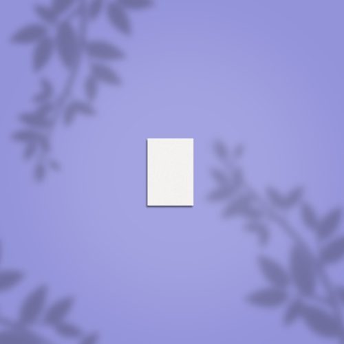 Staleks reszelő mini tömb buffer 150-es NFB-51m