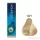 Koleston Perfect hajfesték 60ml 10/1 legvilágosabb hamvasszőke