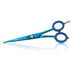 Iwasaki Yamato Cobalt 5,5