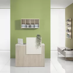 Vista Consolle Natural Recepciós pult