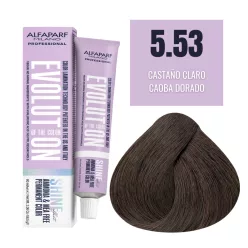 Alfaparf Evolution Shine Effect 5.53 hajfesték – 60ml