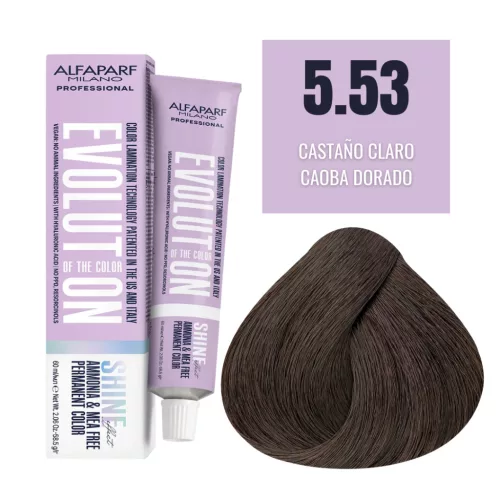 Alfaparf Evolution Shine Effect 5.53 hajfesték – 60ml