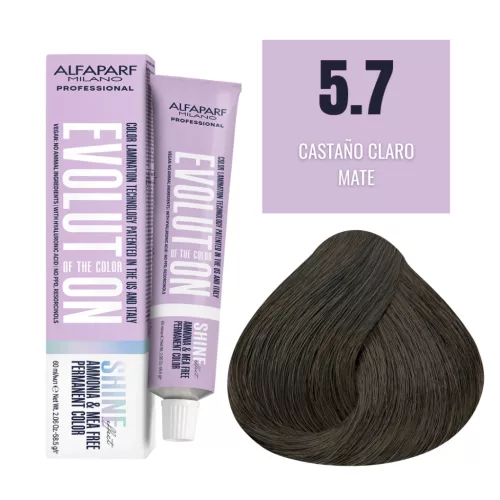 Alfaparf Evolution Shine Effect 5.7 hajfesték – 60ml