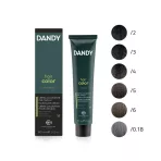 Dandy Hair Color férfi hajszínező 60ml