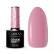 CLARESA UV/LED gél lakk 5g - DUSTY ROSE 8