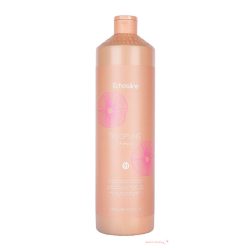 Echosline Disclipline sampon 1000ml rakoncátlan hajra