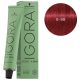 Igora Zero amm 6-88 dark blond red extra hajfesték 60ML