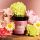 Nook Nectar Color Preserving hajmaszk 250ml